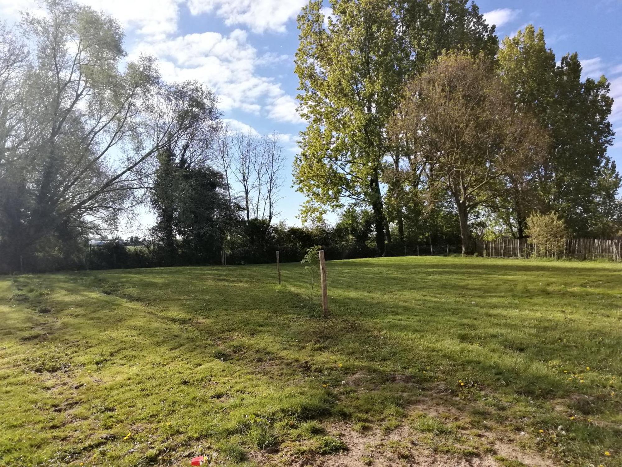 Foret De Nieppe Merville  Exterior foto